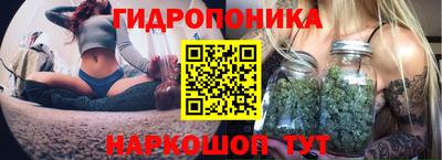 PSILOCYBIN Кингисепп