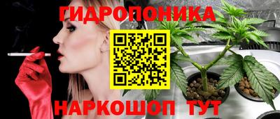 индика Кинель