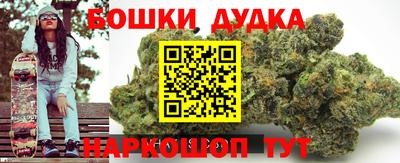 индика Кинель