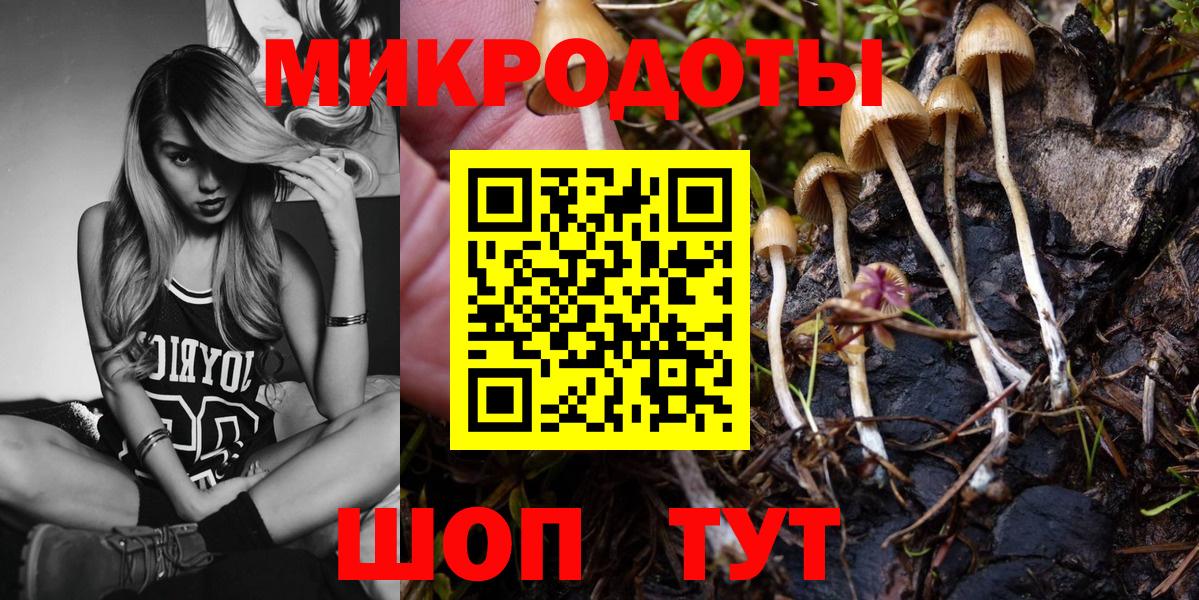 Галлюциногенные грибы MAGIC MUSHROOMS Чехов