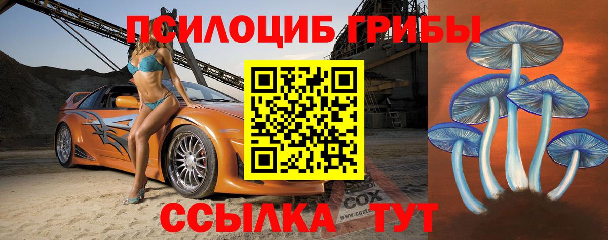 Псилоцибиновые грибы прущие грибы  наркошоп  Вход с VPN  Чехов  Псилоцибиновые грибы прущие грибы 
